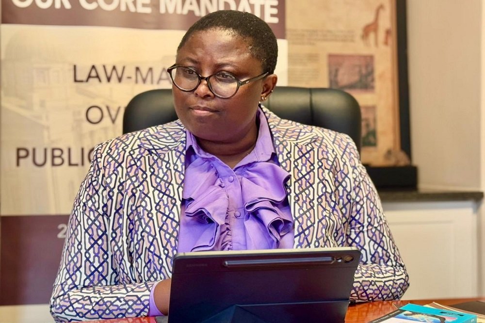 KZN addressing AG audit outcomes: Speaker – SABC News