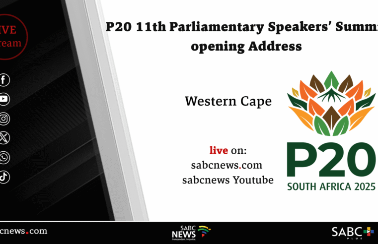 LIVE | Opening of P20 Summit