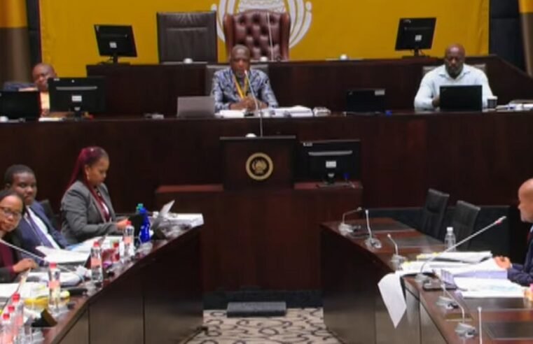 Public submission deadline to Parly’s Ad Hoc Committee ends on Friday – SABC News