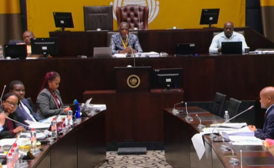 Public submission deadline to Parly’s Ad Hoc Committee ends on Friday – SABC News