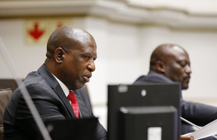 Ad-Hoc Committee chair cautions against attacks on evidence leader – SABC News