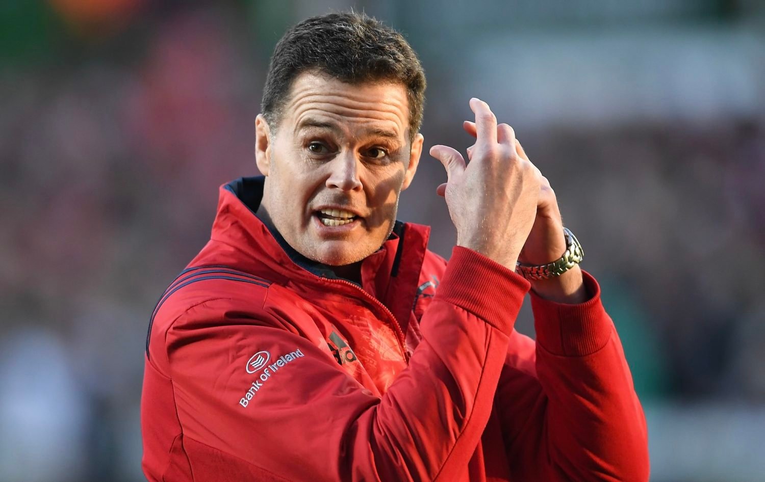 Irish legend: Rassie’s completely mental