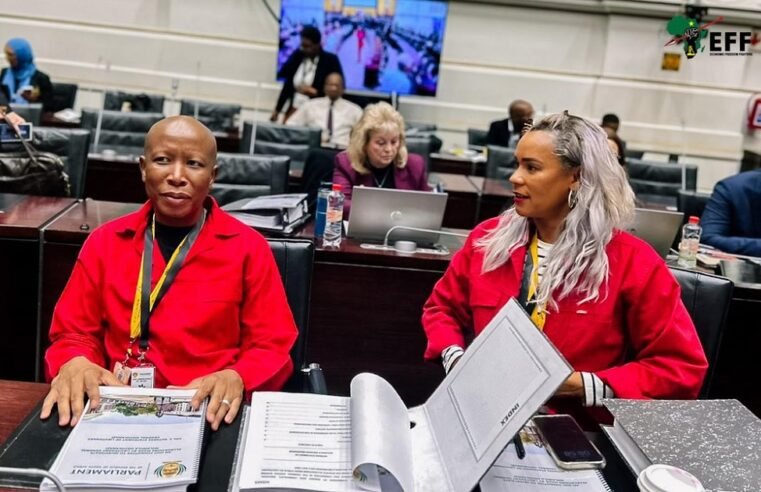 Ad hoc committee adjourns after heated dispute over Mkhwanazi’s oath – SABC News