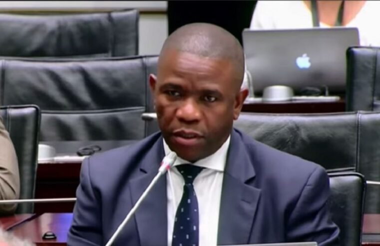 Mkhwanazi explains efforts to raise SAPS internal issues with Parly – SABC News