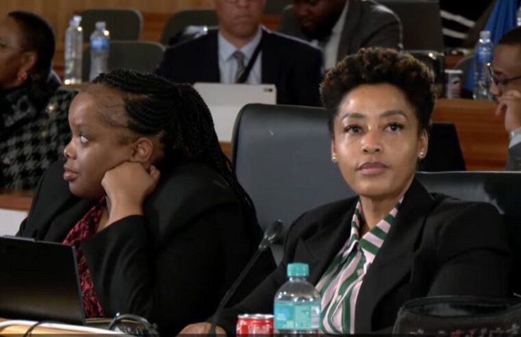 General Shibiri accused of interfering in Armand Swart murder case – SABC News