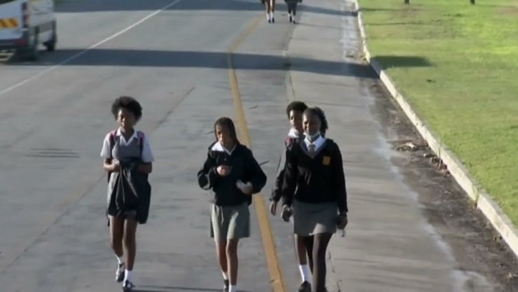 Scholar transport in EC expected to resume after suspension – SABC News