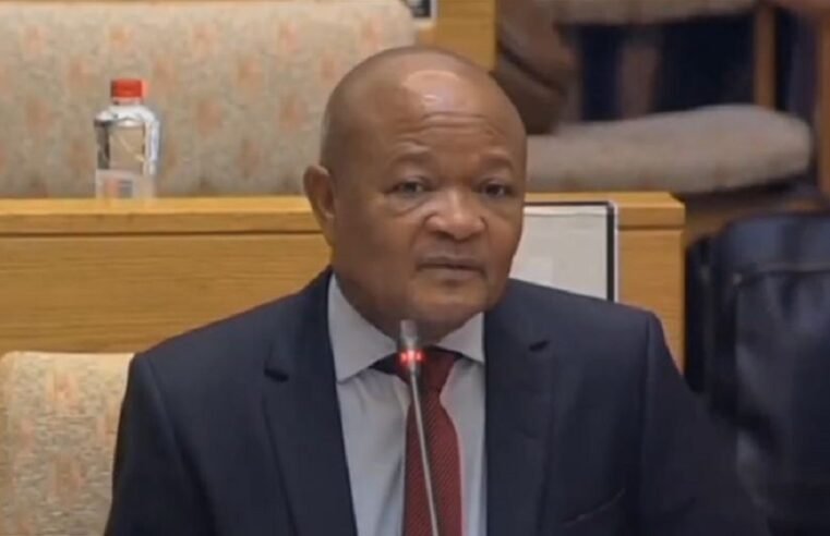 Mchunu concludes testimony after ‘struggling’ with MPs’ questions – SABC News