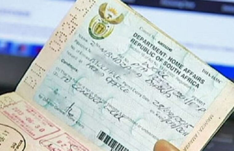 Minister Schreiber extends Zimbabwean Exemption Permit to 2027 – SABC News