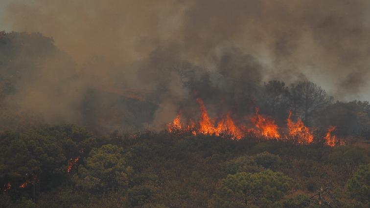 Tshwane EMS on high alert for veld fires – SABC News