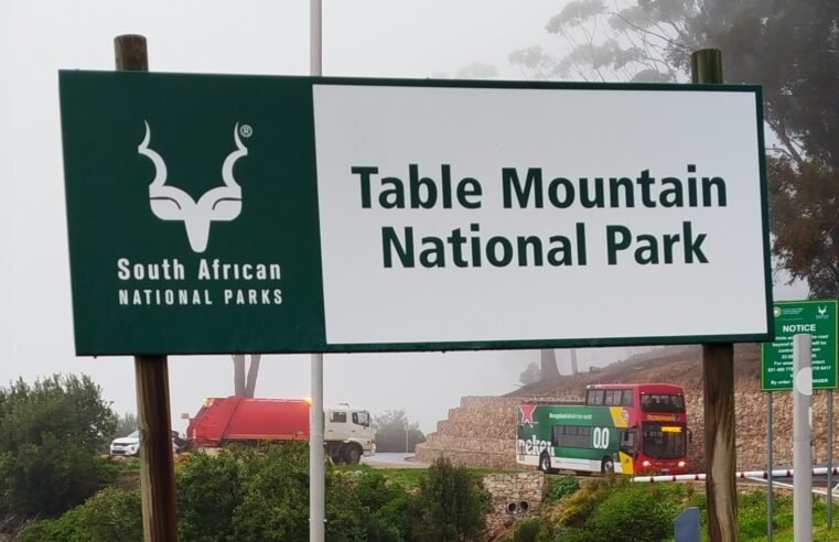 SANParks records 11% revenue increase – SABC News