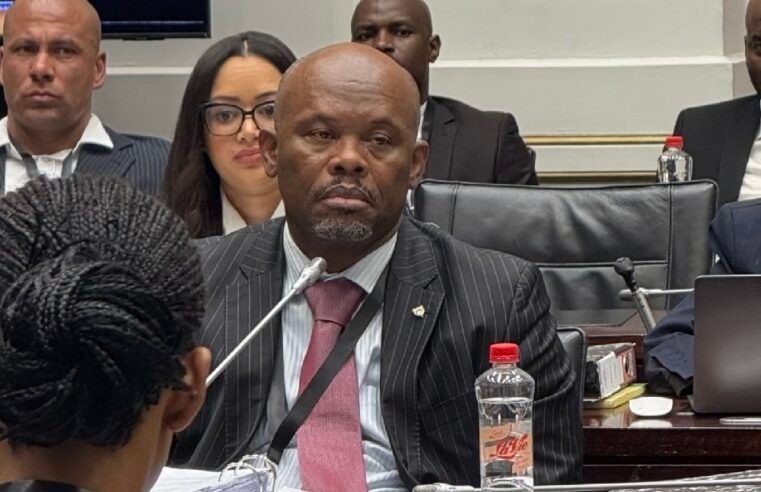 Sibiya details calls, interactions with Brown Mogotsi – SABC News
