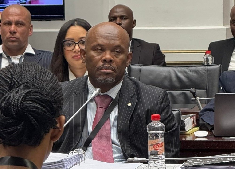 Sibiya details calls, interactions with Brown Mogotsi – SABC News