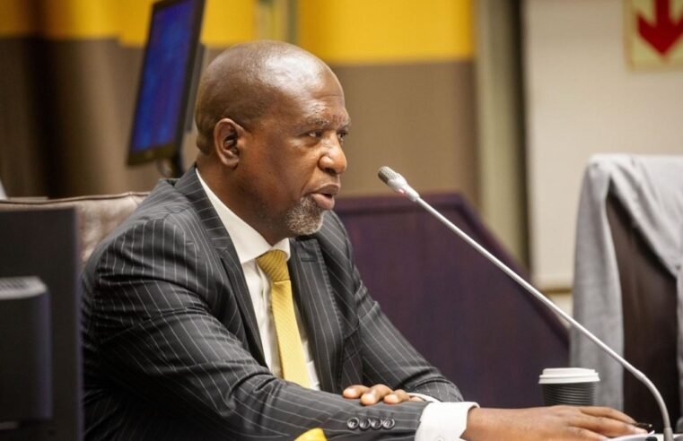 Ad Hoc Committee on Mkhwanazi allegations gets November deadline – SABC News