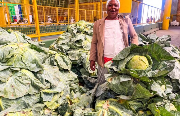 Emerging farmers, entrepreneurs unite to showcase produce in Mthatha – SABC News