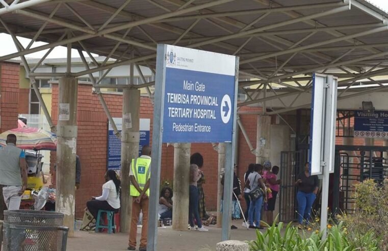 DA writes to Ramaphosa to widen SIU graft probe to other provinces – SABC News