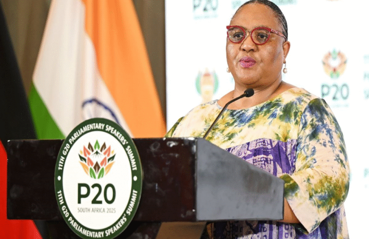 Parliament active in promoting SA’s foreign policies: Didiza – SABC News