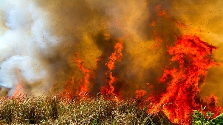 Fire destroys key grazing camp leaving Niani farmers reeling – SABC News