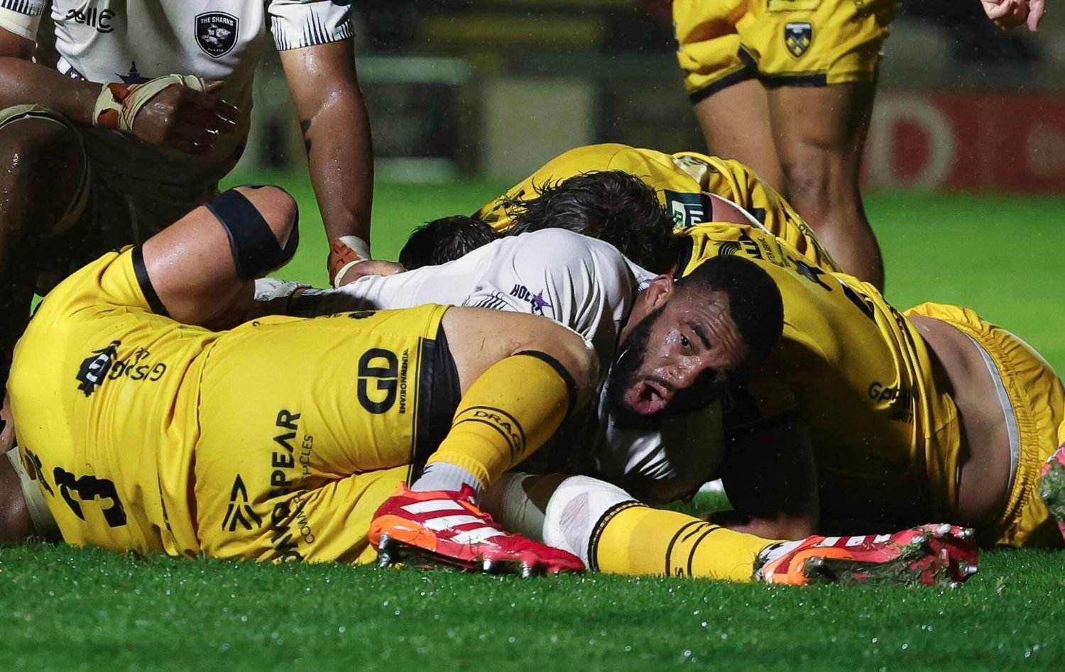 Plum frustrated after Sharks draw