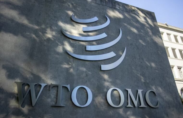 WTO downgrades global trade growth forecast to 0.5% for next year – SABC News