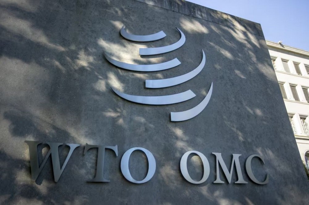 WTO downgrades global trade growth forecast to 0.5% for next year – SABC News