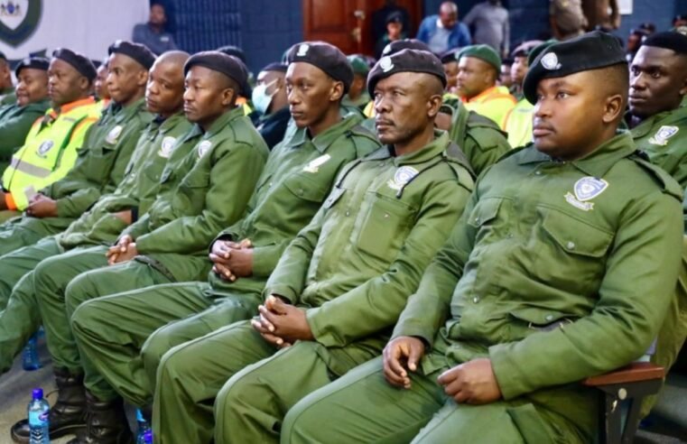 Crime Prevention Wardens Programme was an election ploy: DA – SABC News