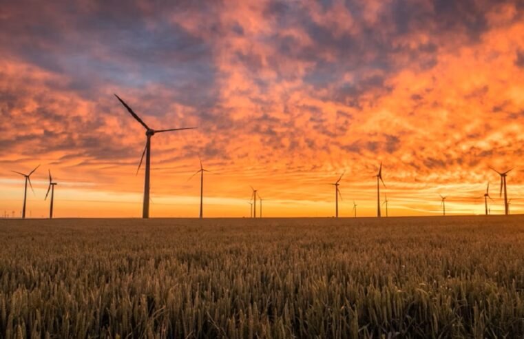 SA’s future energy supply to come from cleaner sources: Ramokgopa – SABC News