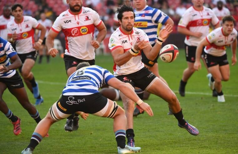 Zander brings strong presence to Cheetahs