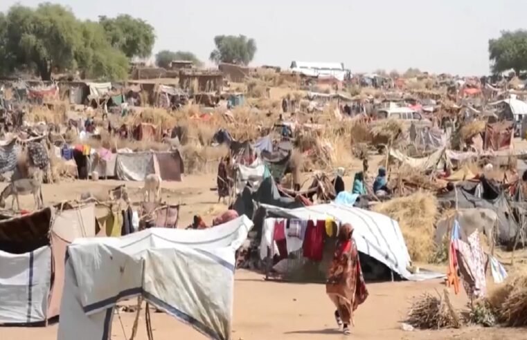 UN Security Council condemns the assault by the RSF on El Fasher – SABC News