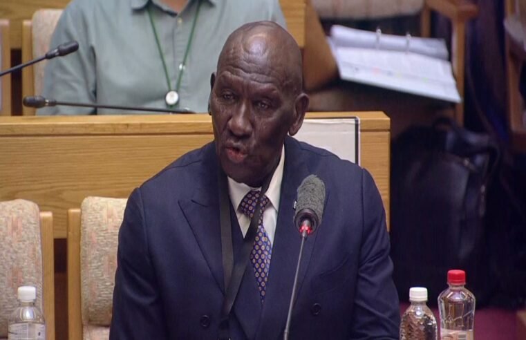 Only national commissioner can establish or disestablish teams: Cele – SABC News