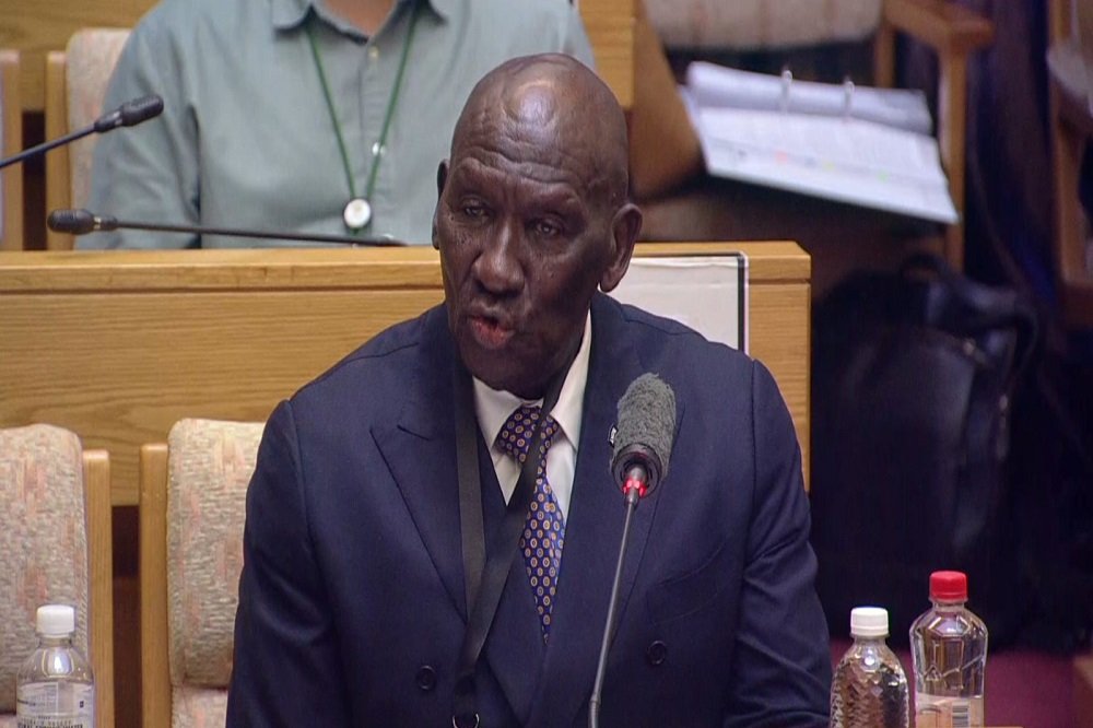 Only national commissioner can establish or disestablish teams: Cele – SABC News