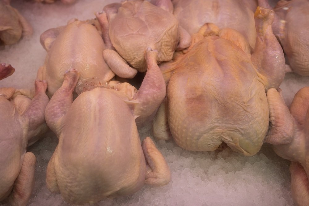 Poultry industry warns that US imports disadvantage local producers – SABC News
