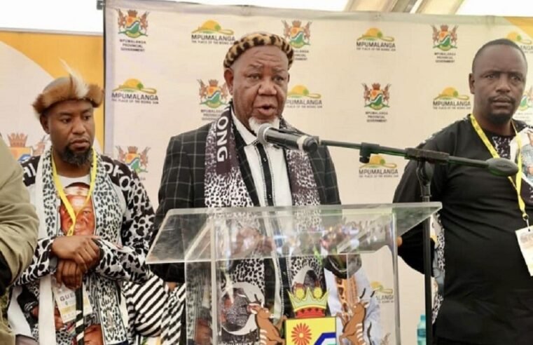 Contralesa to respond as ANC rejects benefits for traditional leaders – SABC News