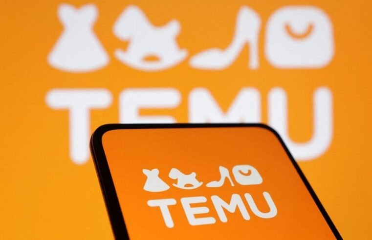 Govt warns Temu, other foreign e‑commerce platforms to obey SA laws – SABC News