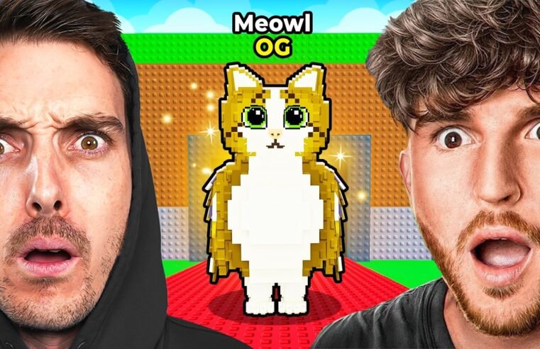 I Challenged Roblox Biggest YouTubers