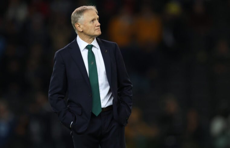 Aussie bosses back Schmidt