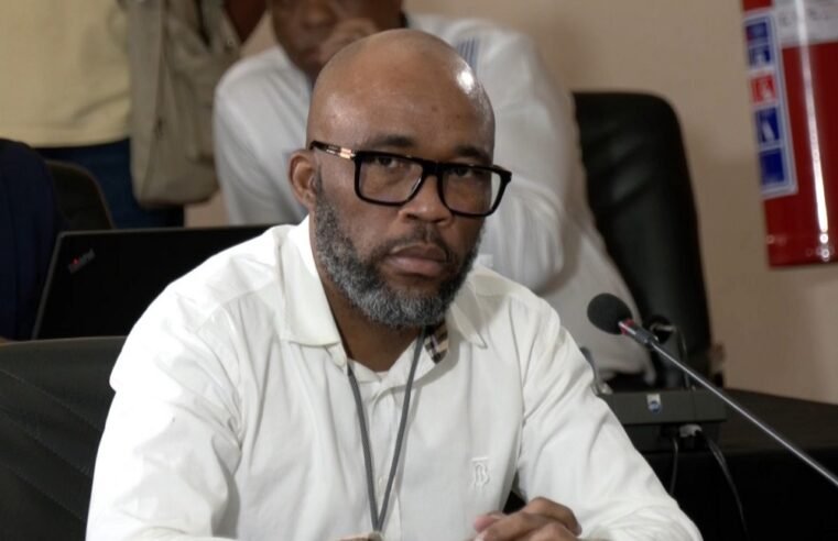 Matlala claims former Police Minister Cele acquired money from him