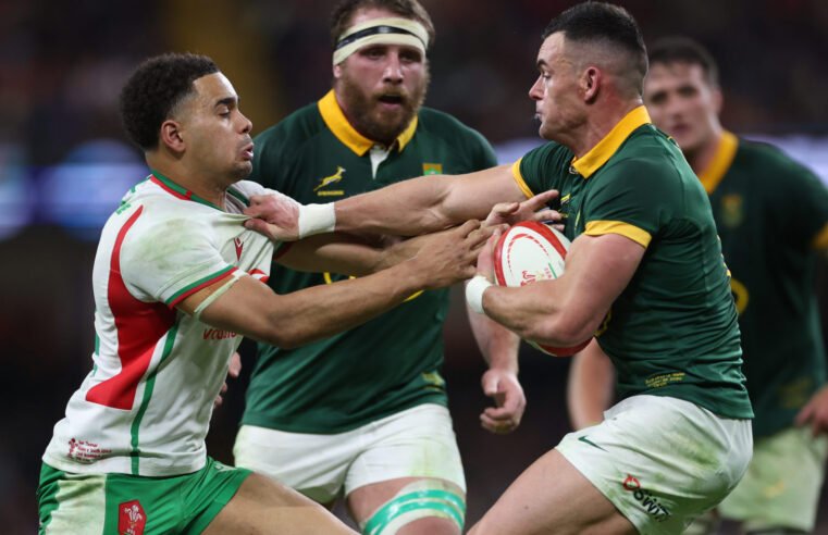 Ex-Wales player questions logic of Bok clash