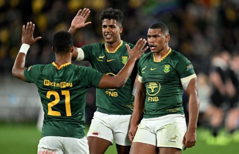 Boks to wear green and gold in Dublin