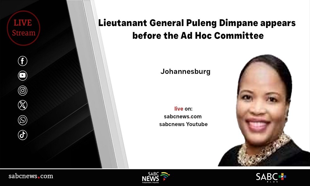 LIVE: Parliament Ad Hoc Committee | 25 November 2025