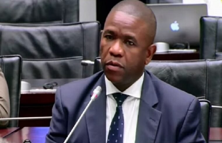 Mogotsi alleges ‘Cat’ Matlala visited General Mkhwanazi at his house