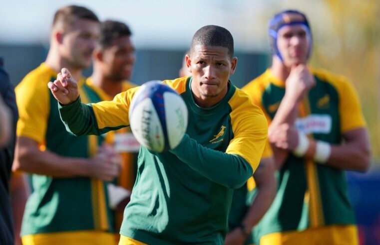 Manie welcomes Bok flyhalf competition