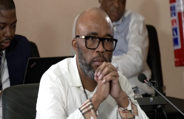 I didn’t know about the hospital tender: Matlala