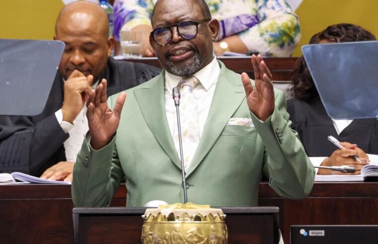 Godongwana’s MTBPS finds favour with GNU parties – SABC News