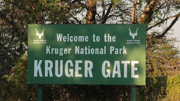 Former Kruger ranger trial over 2016 rhino poaching returns to court