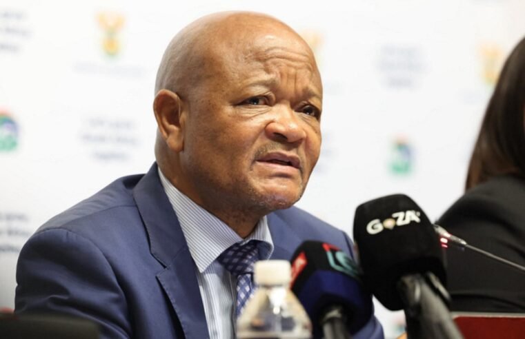 Spokesperson claims political agenda to smear Mchunu’s reputation – SABC News