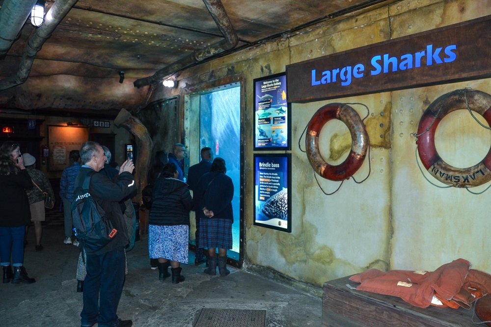 KZN gears up for bumper summer tourism season post COVID-19