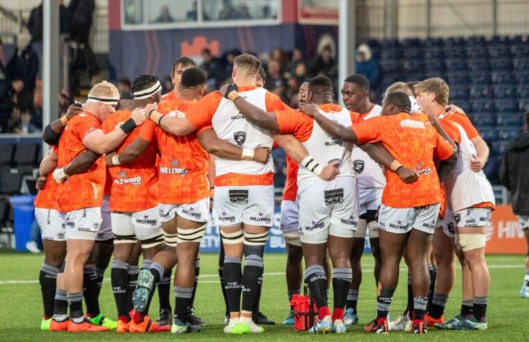 Bok duo tour with Sharks