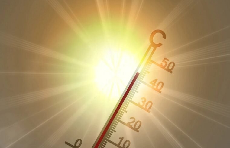 SAWS warns of heat wave over Witzenberg municipality in W Cape