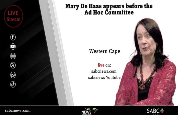 LIVE: Parliament Ad Hoc Committee | Mary de Haas testifies