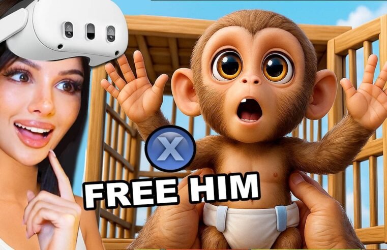 I SAVED Baby Monkey in VR